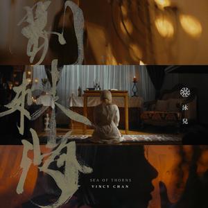 日本成人在线免费观看
